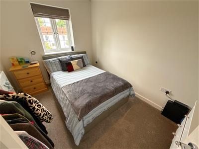 Picture 12